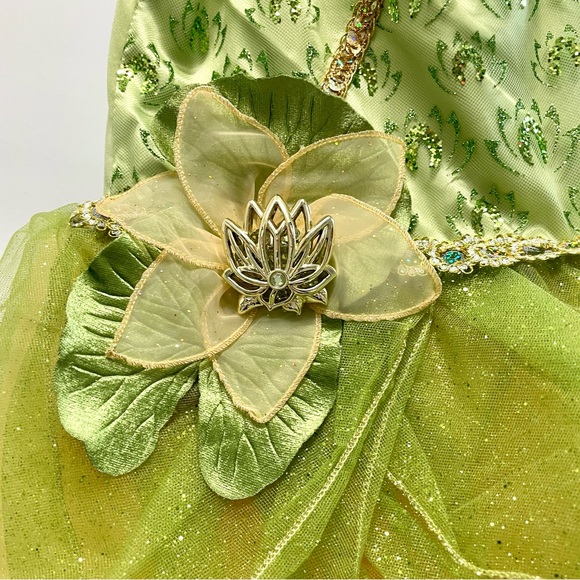 Tiana Disney Princess Gown / Castle Collection Dress / Princess and the Frog - Picture 7 of 11
